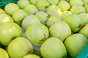 Yellow Ripe ApplesÂ in Plastic Crates,Â Orchard, Apples Ready for Market